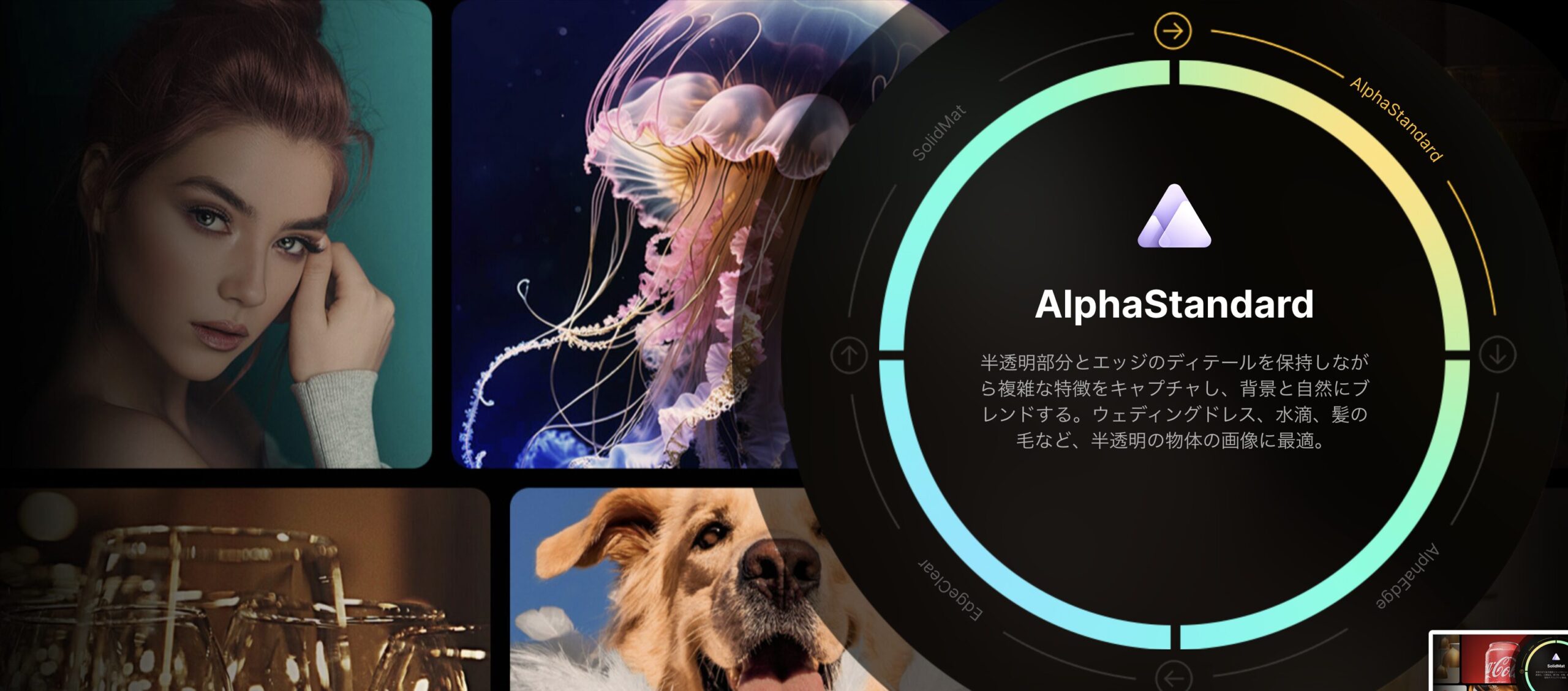 Aiarty Image Mattingのイメージ画像